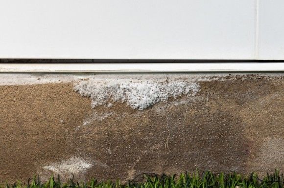 Salitre y eflorescencias en el zócalo Eflorescencias blancas de salitre en el zócalo de mortero de una fachada, a ras de terreno
