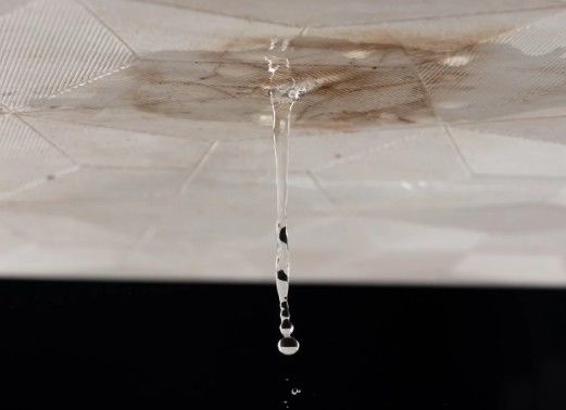 Gotera activa en el techo Agua goteando desde una mancha marrón en el techo de una vivienda