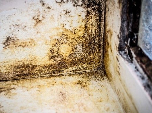 Moho por condensación en una esquina Moho negro y manchas ocres en la esquina de una pared, junto al marco de una ventana